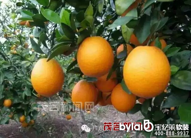 ˇbs@2015ЇҾӮa(chn)I(y)㪄ٴ@Ʒ