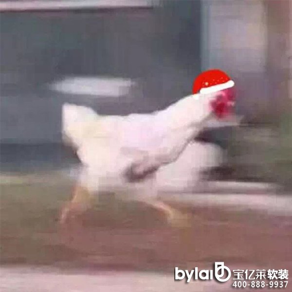 |Rڼ | sůıڼ+ħ^һϲg