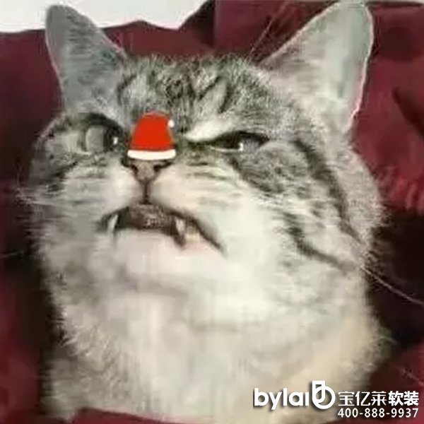 |Rڼ | sůıڼ+ħ^һϲg
